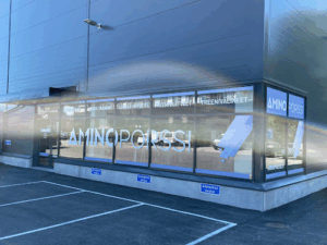 Aminopörssi