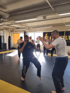 Combat Academy of Finland Sörnäinen