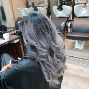 Hairtraffic Suite