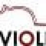 How Violins Oy