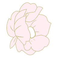 Peony Beauty