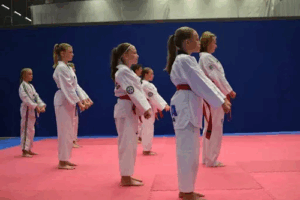Taekwondourheilijat 2011