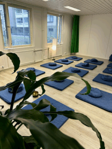 Tyyniminä zen meditaatiokeskus helsinki